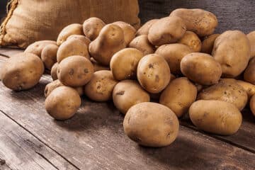 Kartoffel, Erdapfel, wertvolle Knolle