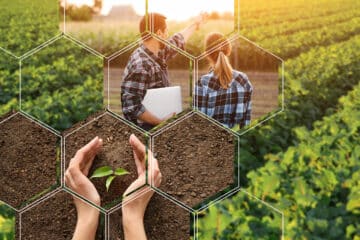 Essen-und-Ernaehren-Pestizide-Oekolandbau-Bio-Lebensmittel-oekologisch-Bio-Siegel-Naturland-Demeter-Bioland
