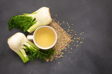 ist-Fenchel-gesund-Fenchel-Heilkraut-Heilpflanze-gesund-Essen-Ernaehren