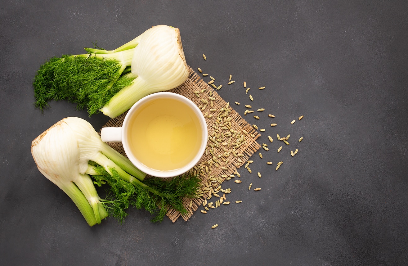 ist-Fenchel-gesund-Fenchel-Heilkraut-Heilpflanze-gesund-Essen-Ernaehren