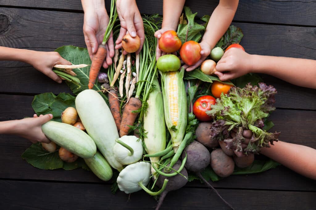 Warum Ernährungswende, Ernährungswende anpacken, Nachhaltigkeit, Soja und der Regenwald