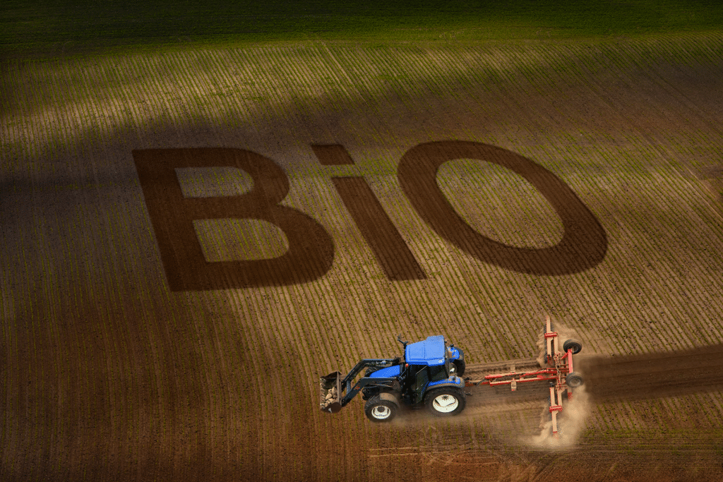 Neues Bio-Logo in Küchen und Kantinen der Gemeinschaftsverpflegung, Bio-Beratung, Kommunikation der Bio-Zertifizierung