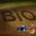 neues Bio-Logo, Bio-Siegel Küchen, Kantinen, Gemeinschaftsverpflegung, Bio-Beratung