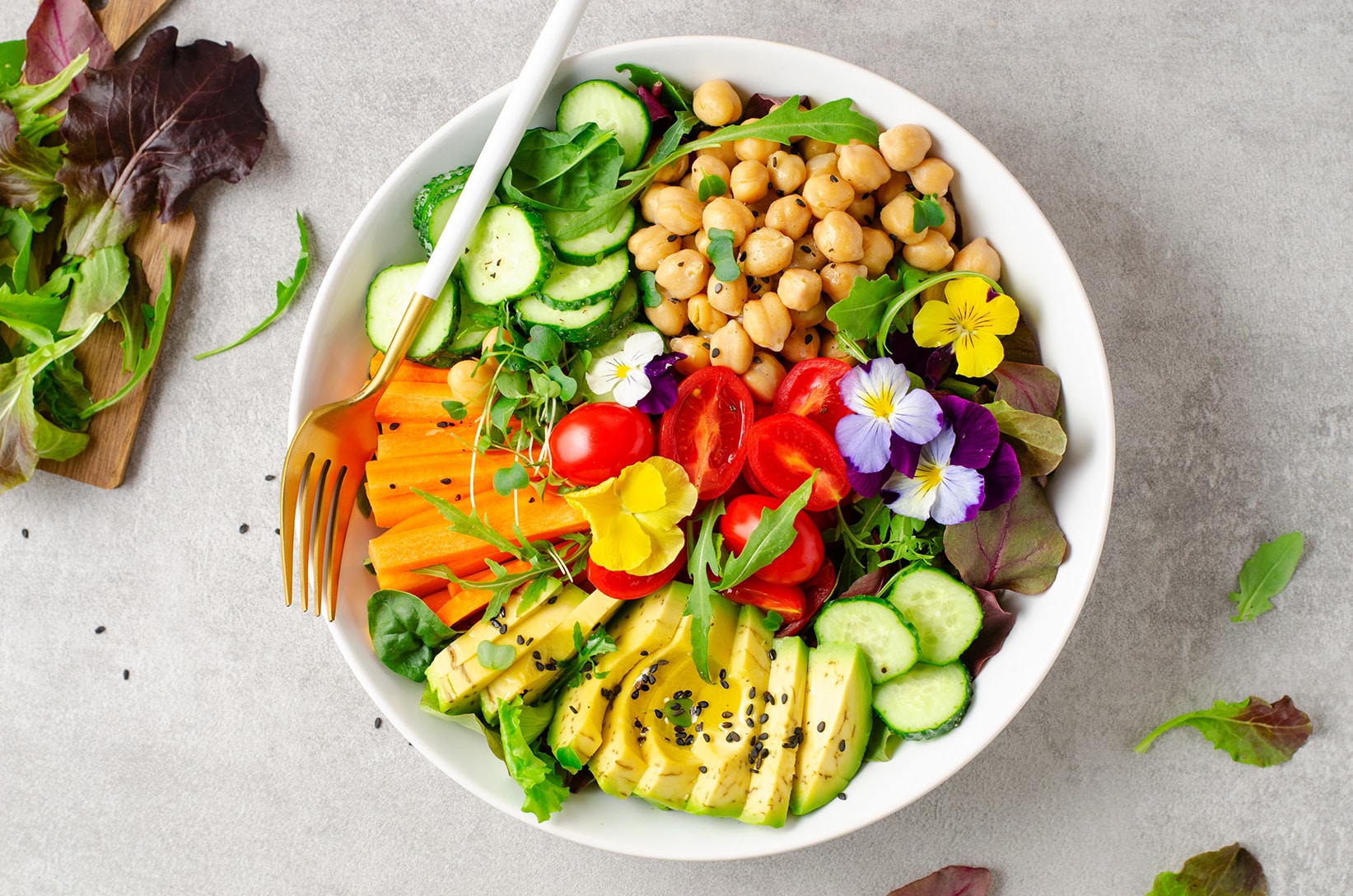 DGE vegane Ernährung