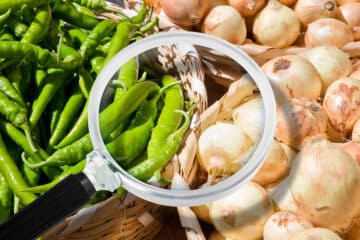 HACCP-Konzepte-Bio